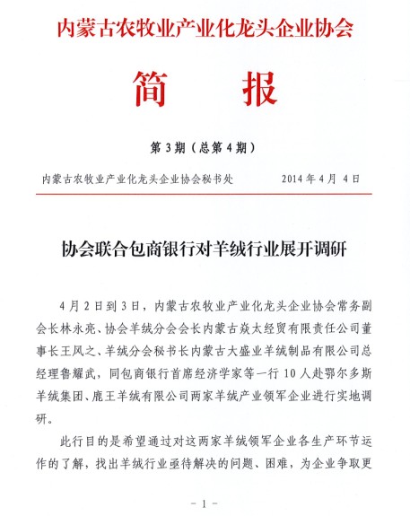 簡(jiǎn)報第3期（總第4期）