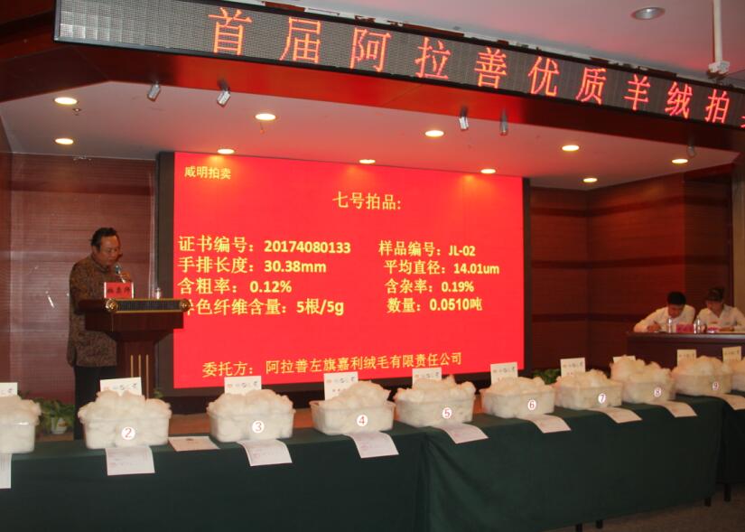 創(chuàng  )新引領(lǐng)未來(lái)，品質(zhì)鑄就輝煌 首屆阿拉善優(yōu)質(zhì)羊絨拍賣(mài)會(huì )盛大舉行