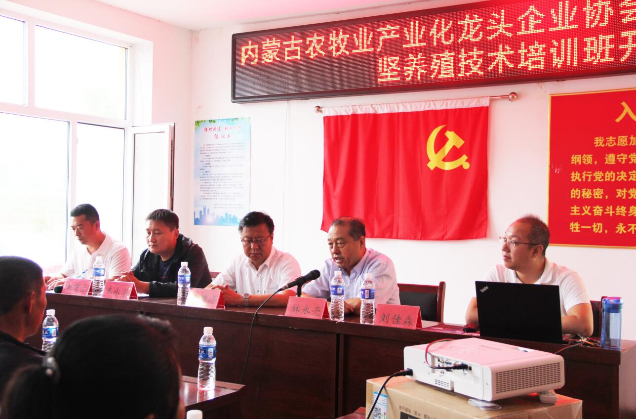參與打贏(yíng)脫貧攻堅戰產(chǎn)業(yè)扶貧公益培訓在內蒙古赤峰市寧城縣大黑石村舉辦