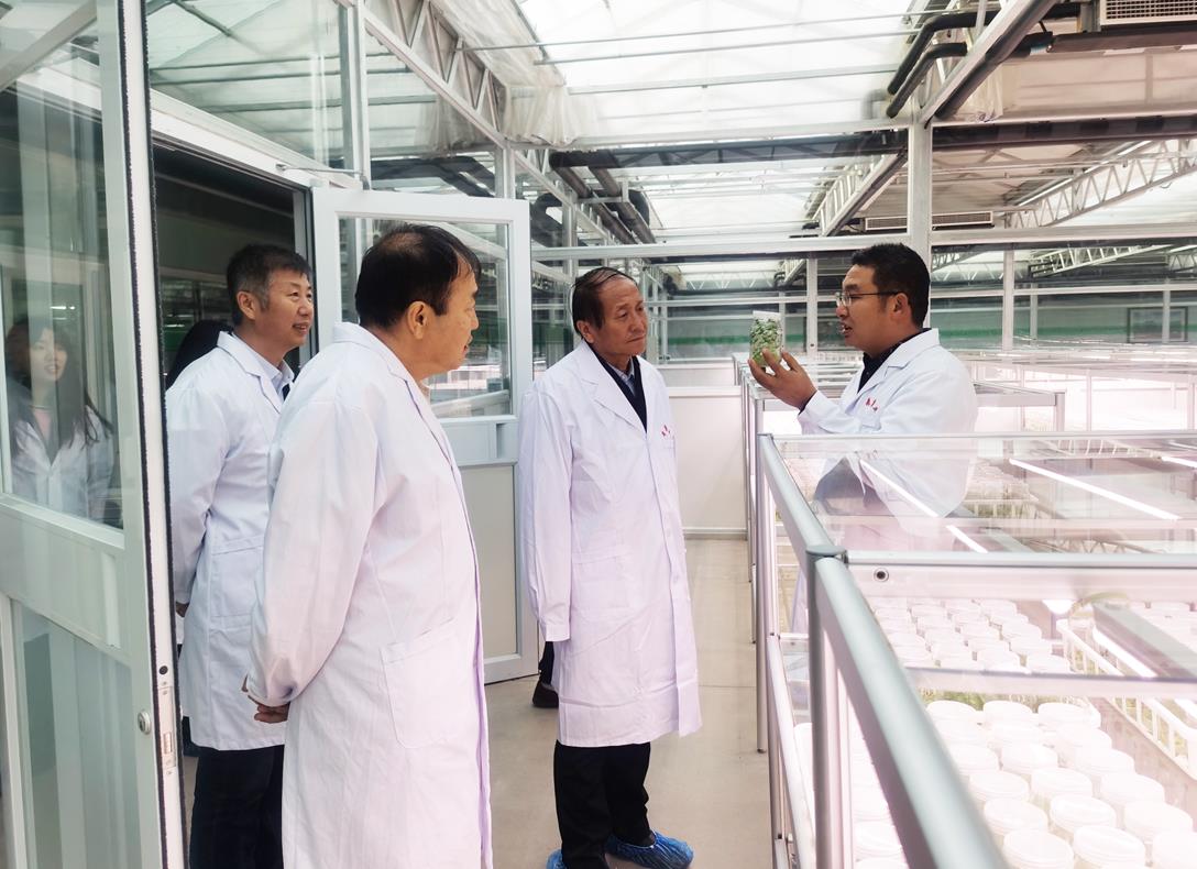 自治區級龍頭企業(yè)審核工作進(jìn)行時(shí)