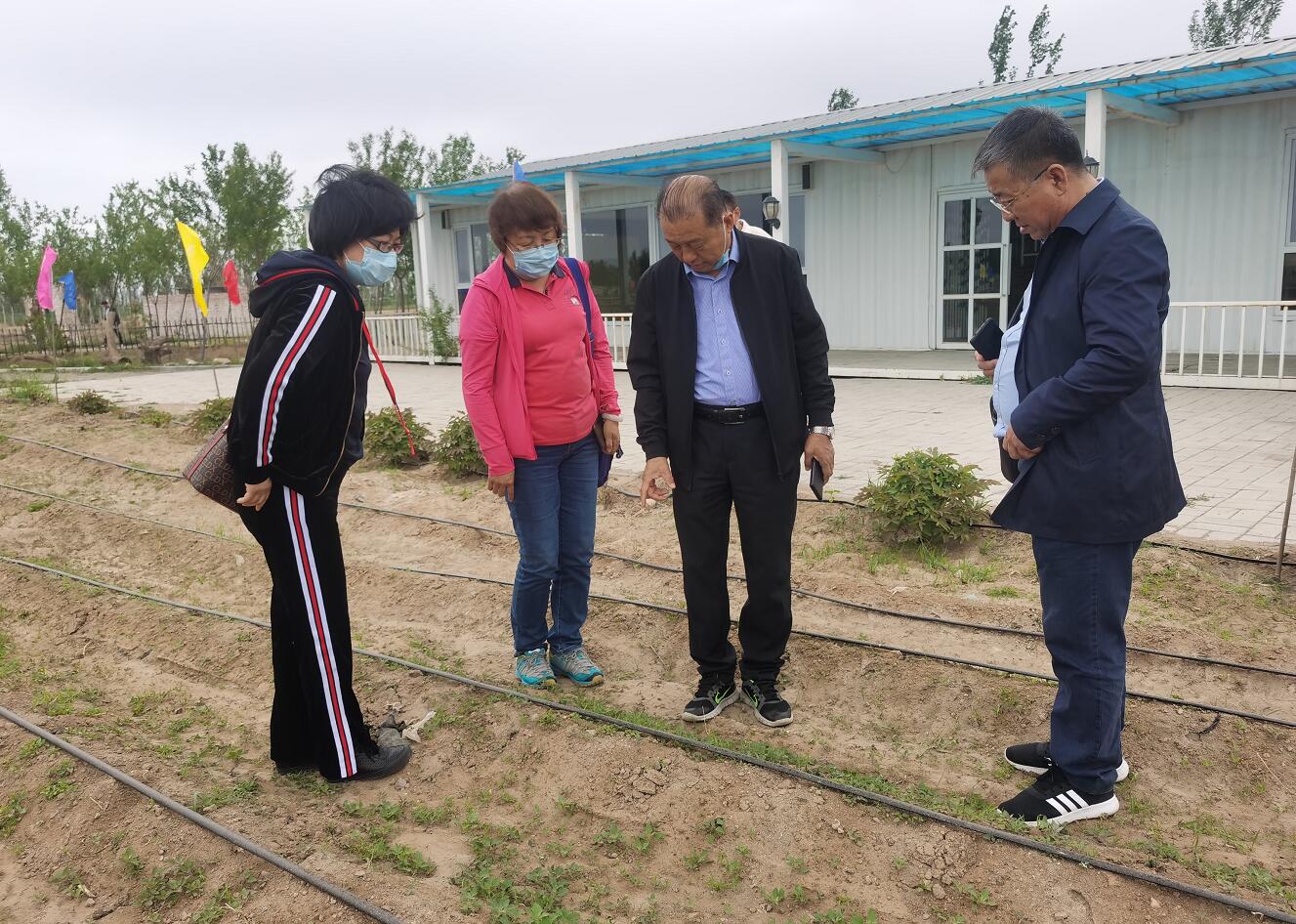 林永亮執行會(huì )長(cháng)到國豆公司考察調研