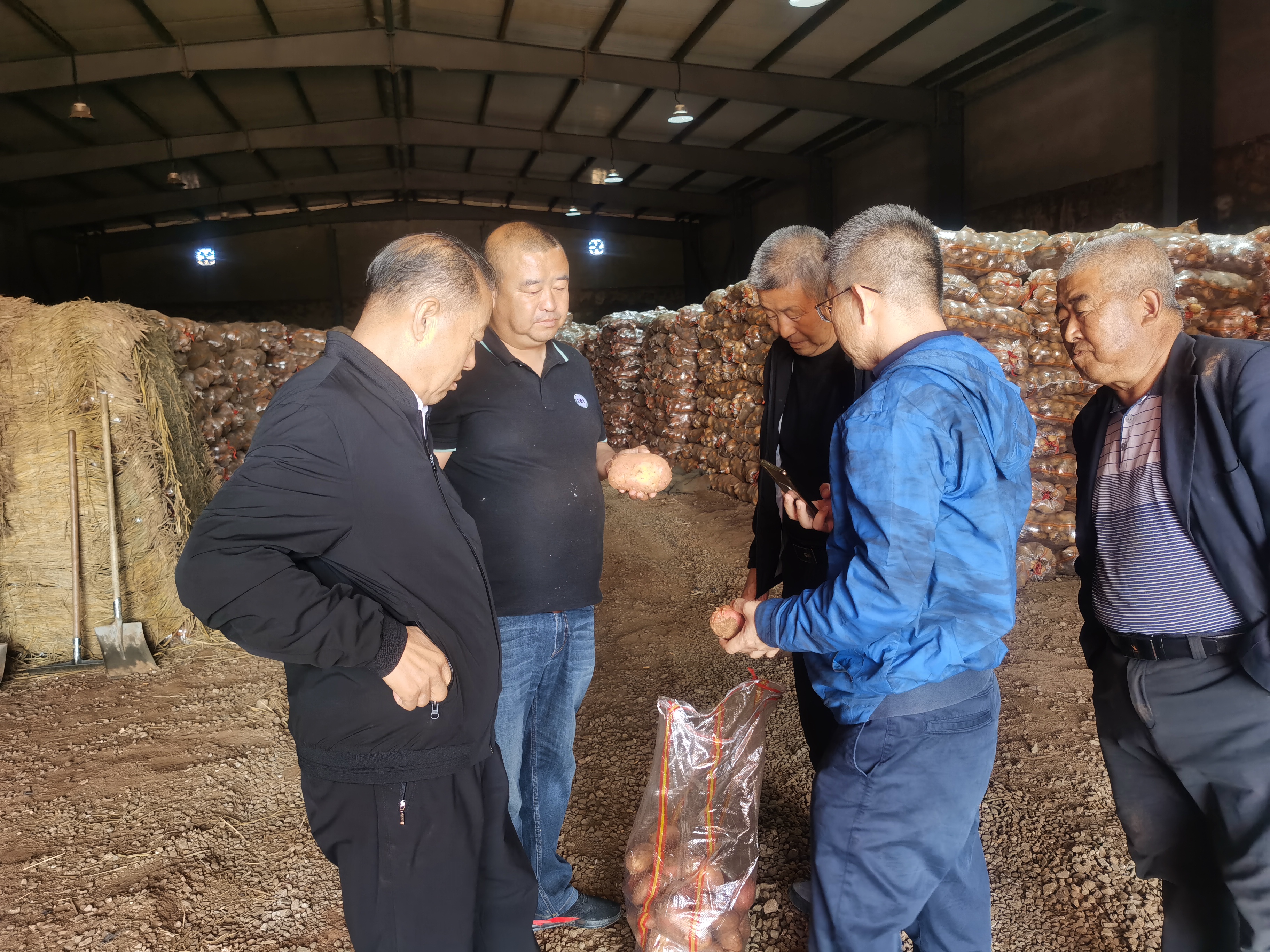 資源對接，互惠共贏(yíng) 借助商協(xié)會(huì )平臺優(yōu)勢助力內蒙古馬鈴薯 企業(yè)開(kāi)拓山東市場(chǎng)